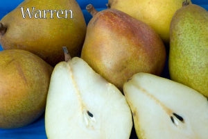 Organic Warren Pears