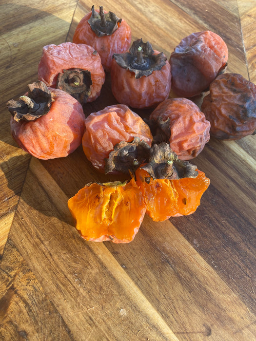 Rosseyanka Persimmon