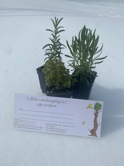 Edible Landscaping Gift Card (digital) expires 1 year from issue date.