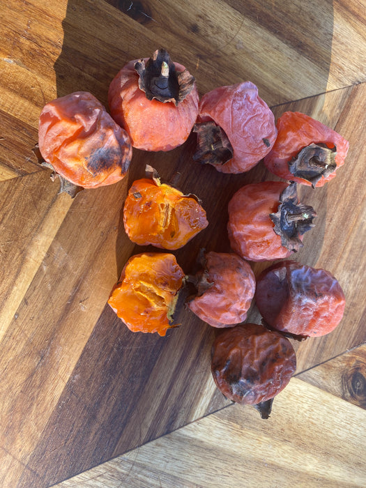 Rosseyanka Persimmon