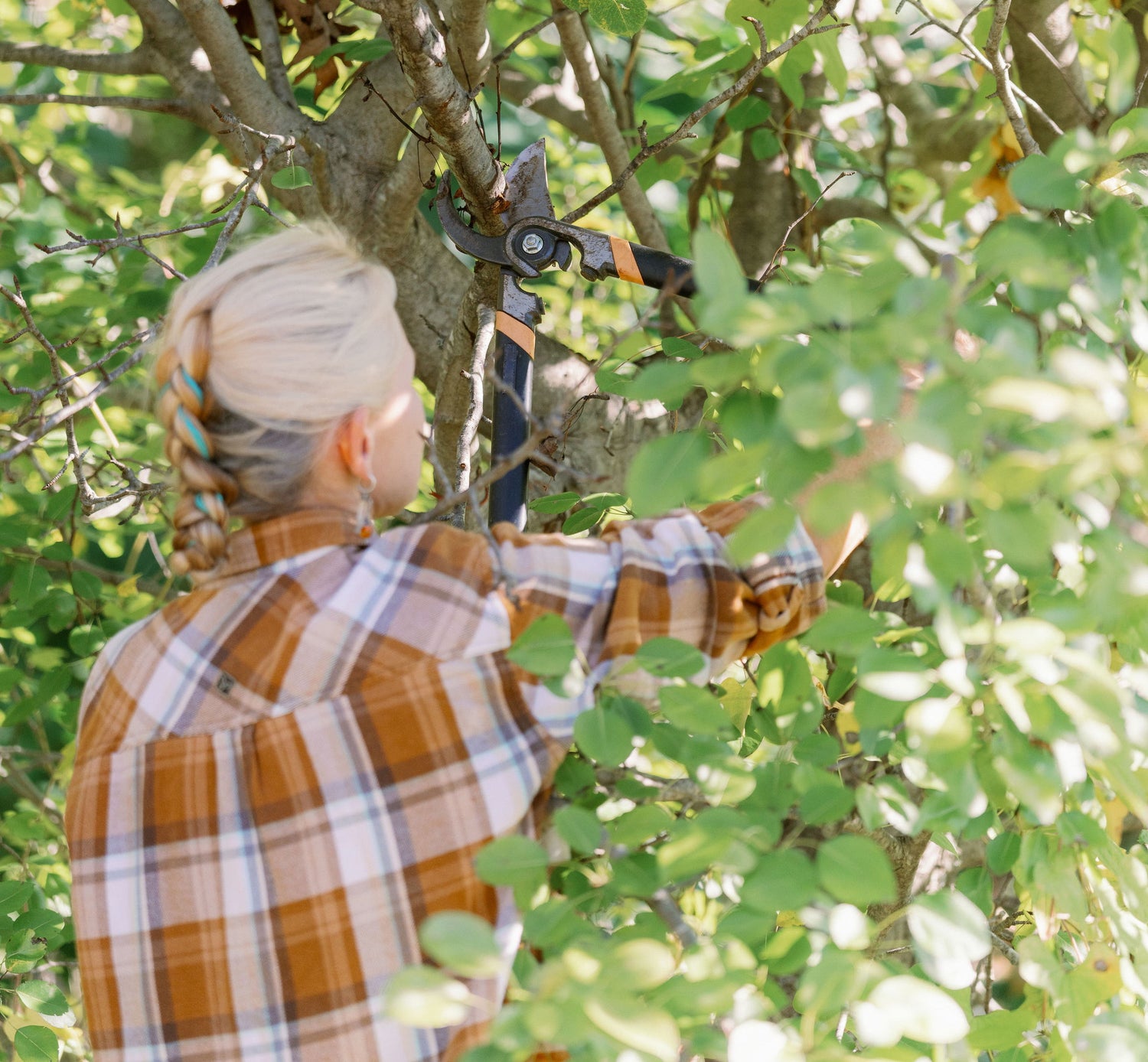 Edible Landscaping's Pruning Workshop