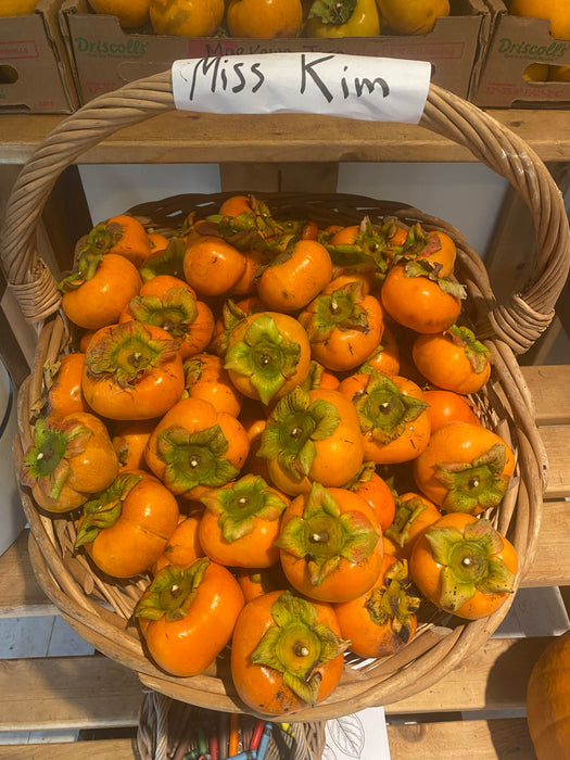 Miss Kim Persimmon