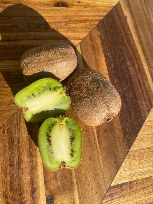 Saanichton Fuzzy Female Kiwi