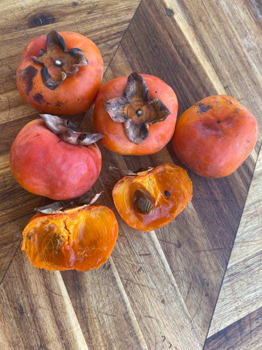 Great Wall Persimmon