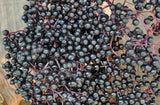 Adams Elderberry